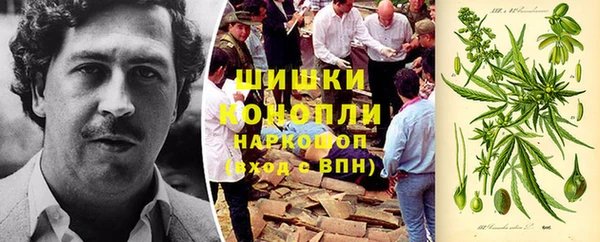ПСИЛОЦИБИНОВЫЕ ГРИБЫ Алексеевка